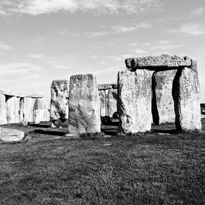 Meet your Posher, Catie